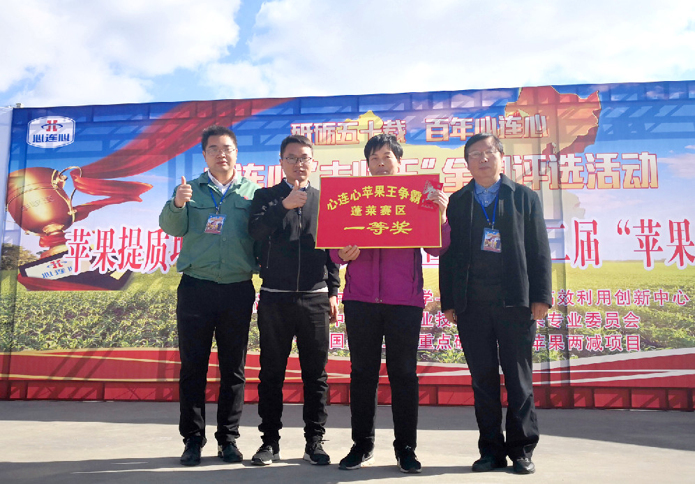 蓬莱苹果“丰登王”