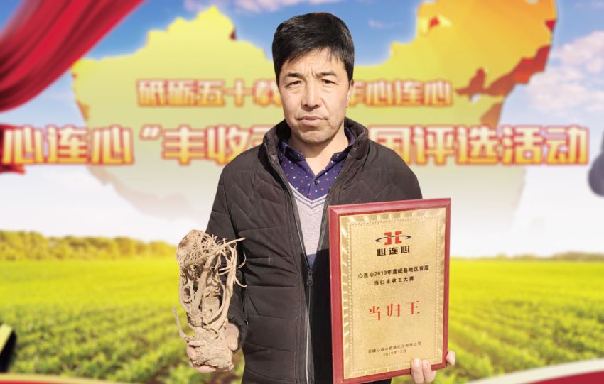 岷县当归“丰登王”