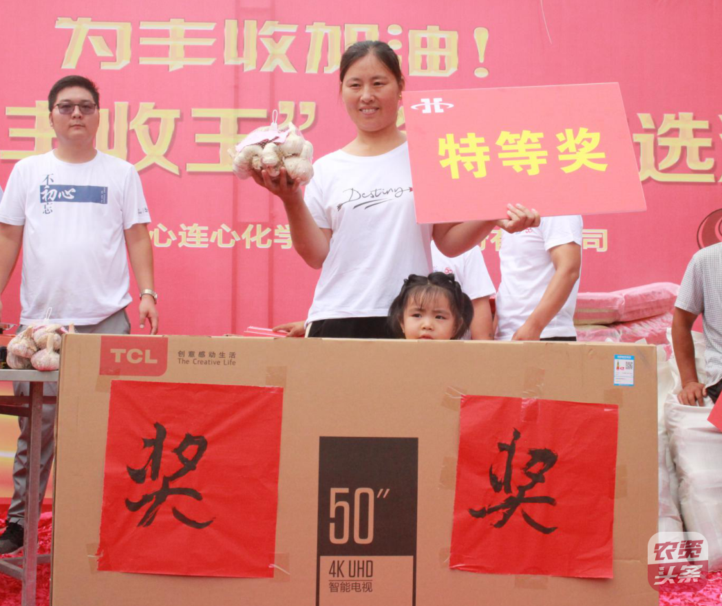 杞县大蒜“丰登王”